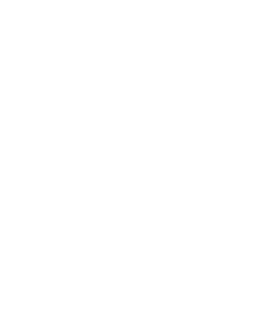 Vector (11)