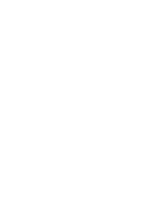 Vector (13)