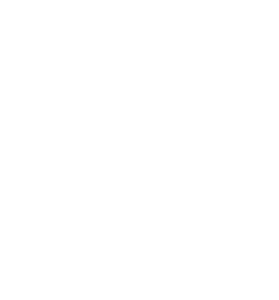 Vector (15)